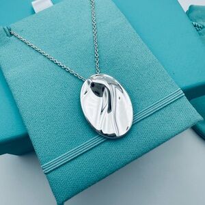 Tiffany & Co. Pure Silver Ag 1000 Aquarius Zodiac Necklace 29” with PACKAGING